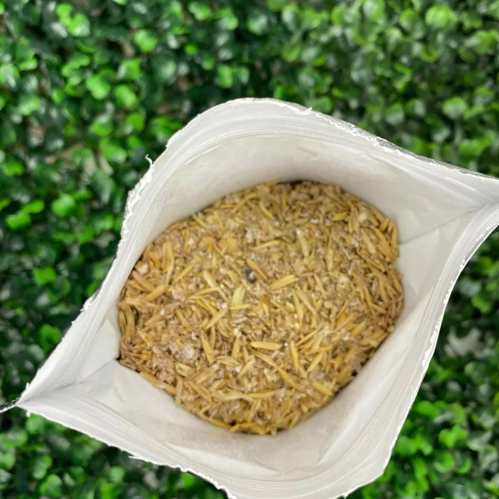 Adubo Fortirriza para Orquídeas e Plantas (500g) - Nutrição Completa para Raízes, Brotos e Floração Saudável