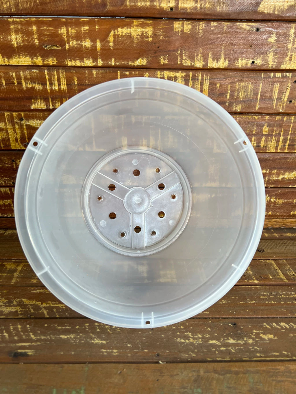 Vaso Transparente Cuia (23,5 × 12 cm) – Raízes Saudáveis, Resistente e Espaçoso para Plantas e Orquídeas