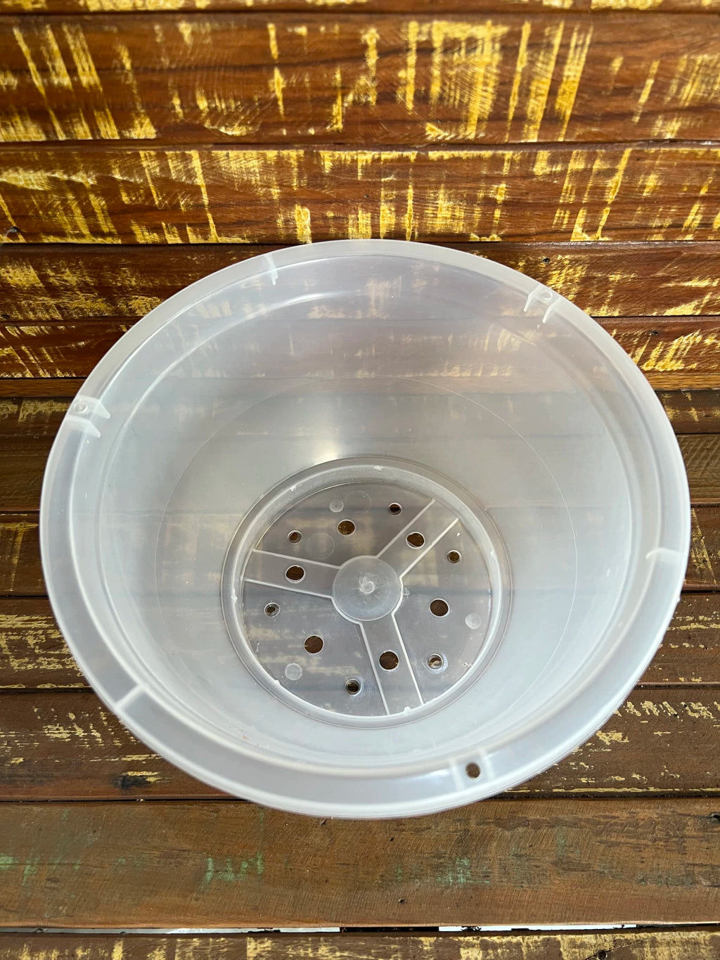 Vaso Transparente Cuia (23,5 × 12 cm) – Raízes Saudáveis, Resistente e Espaçoso para Plantas e Orquídeas