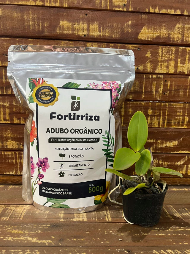 Adubo Orgânico Fortirriza 500 g + Brinde: Mudinha de Cattleya Identificada | Raízes Fortes e Floração Exuberante