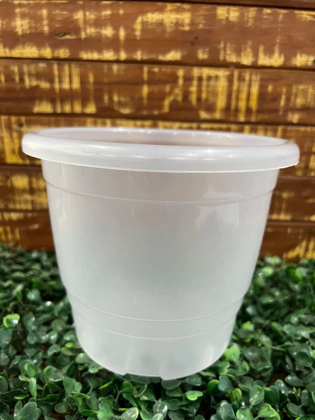 Vaso Transparente Tradicional (17 × 15 cm) – Raízes Saudáveis, Alta Resistência e Regas Precisas