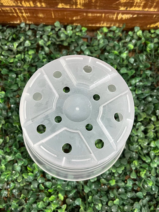 Vaso Transparente Tradicional (17 × 15 cm) – Raízes Saudáveis, Alta Resistência e Regas Precisas