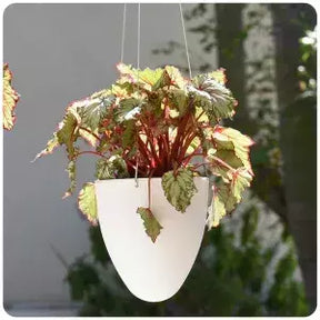 Vaso Autoirrigável EGG 19x21 cm Marrom Taupe – Vasart