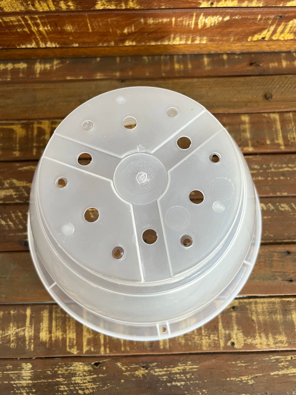 Vaso Transparente Cuia (23,5 × 12 cm) – Raízes Saudáveis, Resistente e Espaçoso para Plantas e Orquídeas