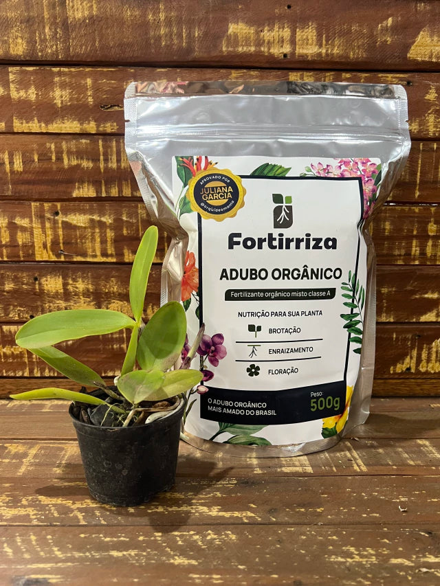 Adubo Orgânico Fortirriza 500 g + Brinde: Mudinha de Cattleya Identificada | Raízes Fortes e Floração Exuberante