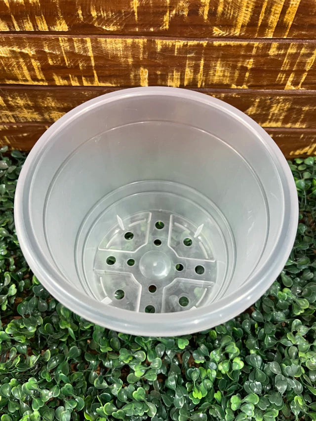 Vaso Transparente Tradicional (17 × 15 cm) – Raízes Saudáveis, Alta Resistência e Regas Precisas