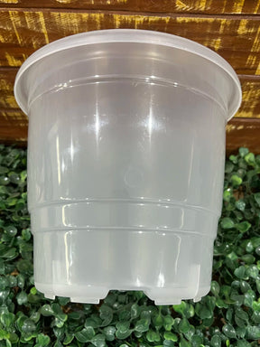 Vaso Transparente Tradicional (17 × 15 cm) – Raízes Saudáveis, Alta Resistência e Regas Precisas